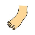 Bare foot, toe, instep, illustration